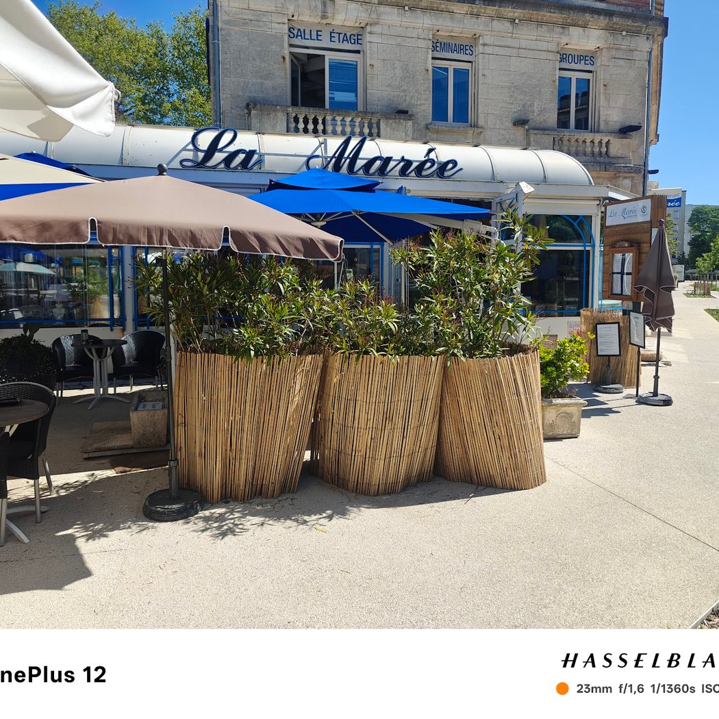 LA MARÉE, Restaurant de Poissons et Fruits de Mer 3
